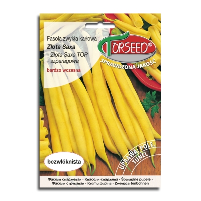 Fasola Szparagowa Złota Saxa Nasiona